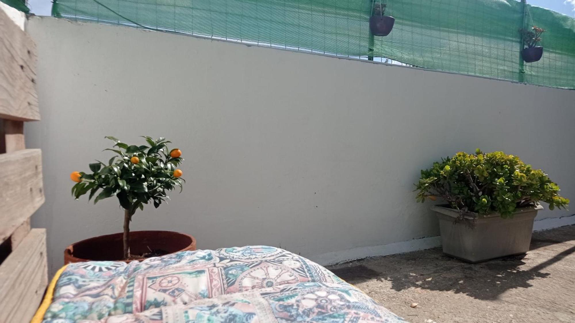 Casa Dalila Apartment Belvedere (Sicily)