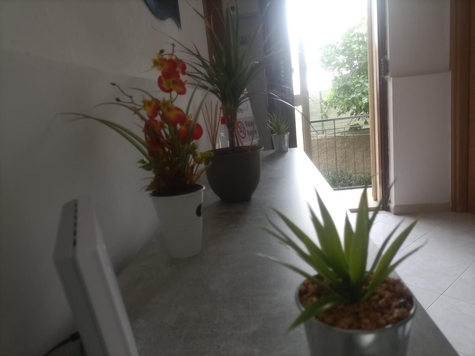 Casa Dalila